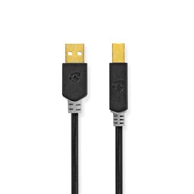 Cable USB 2.0 - Type A/micro B - Longeur 2M - CCBW60500AT20