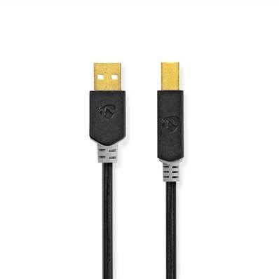 Cable USB 2.0 - Type A/micro B - Longeur 1M - CCBW60500AT10