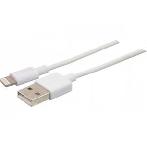 Cable Synchro Apple - USB Male / Connecteur Lightning - 1m pour iPad iPhone iPod