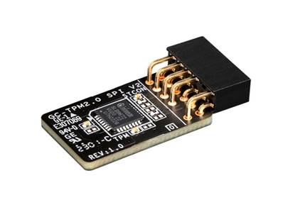 Module TPM 2.0 C.Mère GIGABYTE - Chipset Intel Série 400/500/600/700