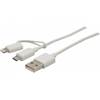 Cable de synchro et charge 2 en 1 pour Ipad Iphone Ipad - 1m