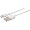 Cable Synchro Apple - USB Male / Connecteur Lightning - 1m pour iPad iPhone iPod